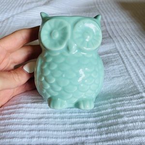 Owl magnet